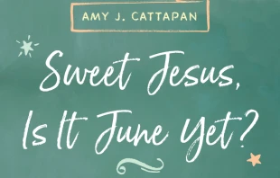 Detail from the cover of Amy Cattapan's "Sweet Jesus, is it June Yet?" null